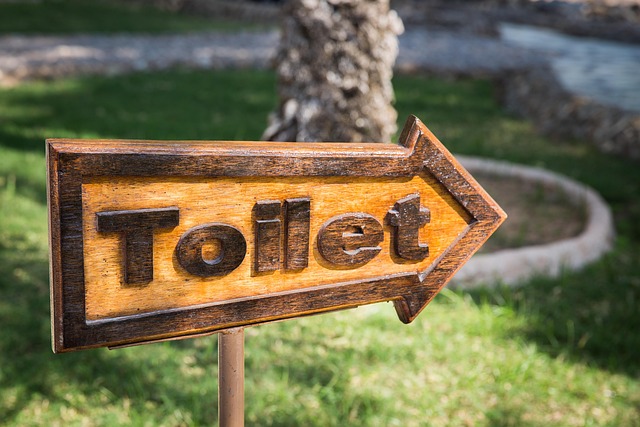 Hoe veranderen vrouwenurinoirs festivals? Hoe veranderen vrouwenurinoirs festivals?